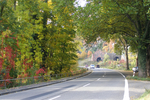 Herfst; zuidelijke loreleytunnel ingang. Herfst; zuidelijke loreleytunnel ingang.